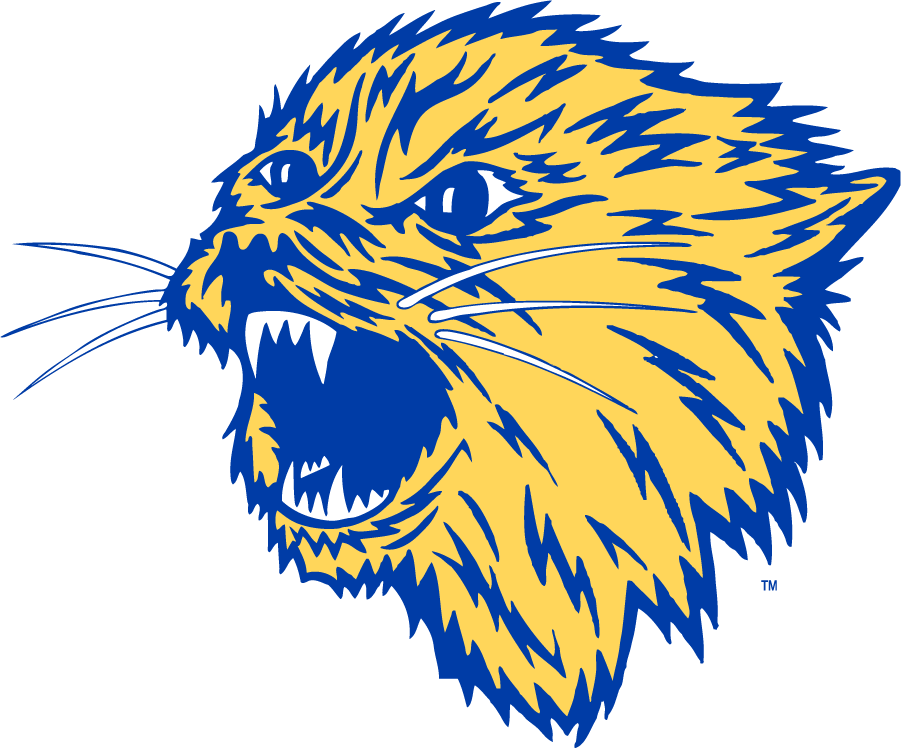 Montana State Bobcats 1965-1995 Secondary Logo diy iron on heat transfer